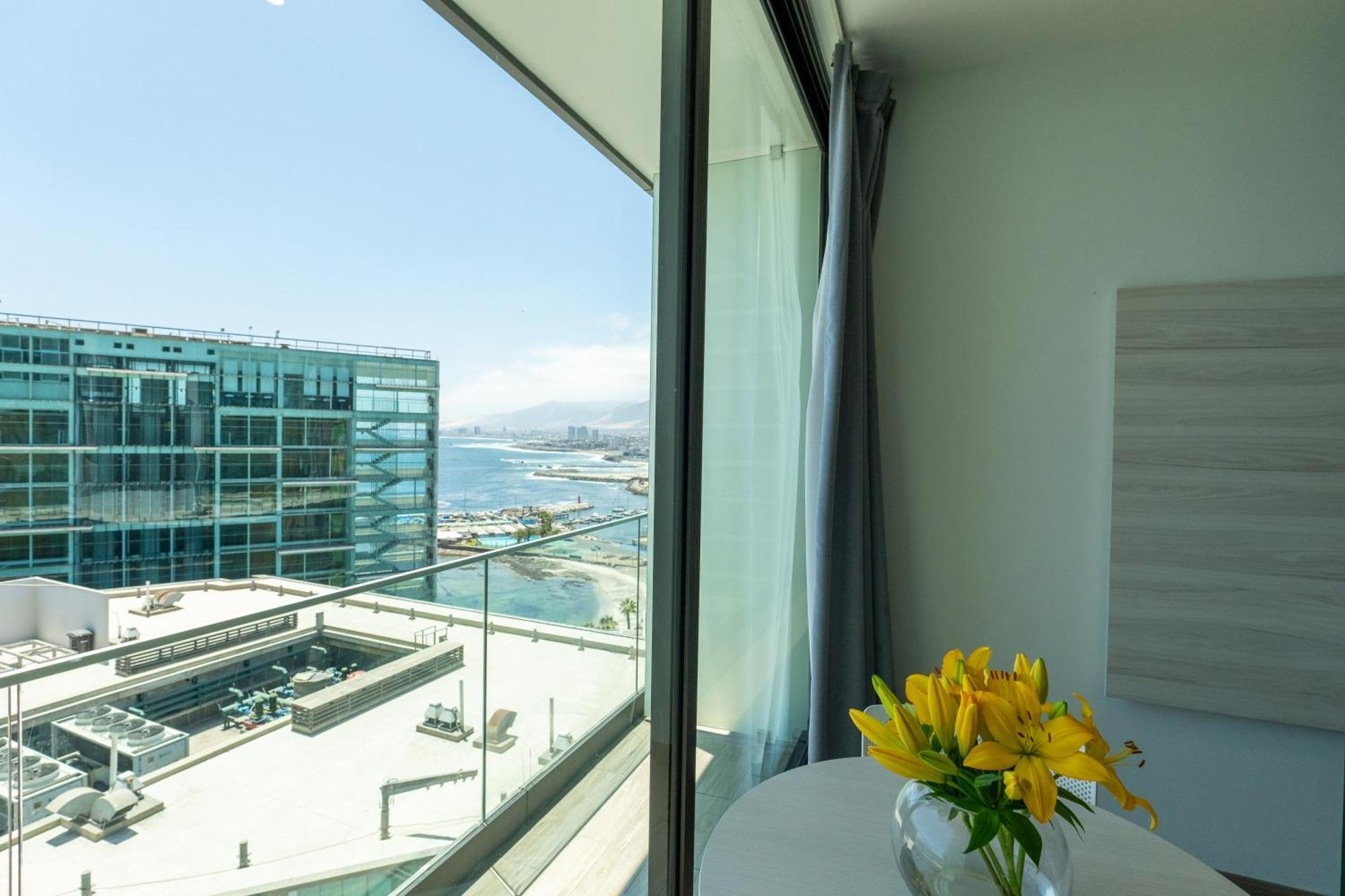 Studio 56 By Terrado Antofagasta Eksteriør bilde
